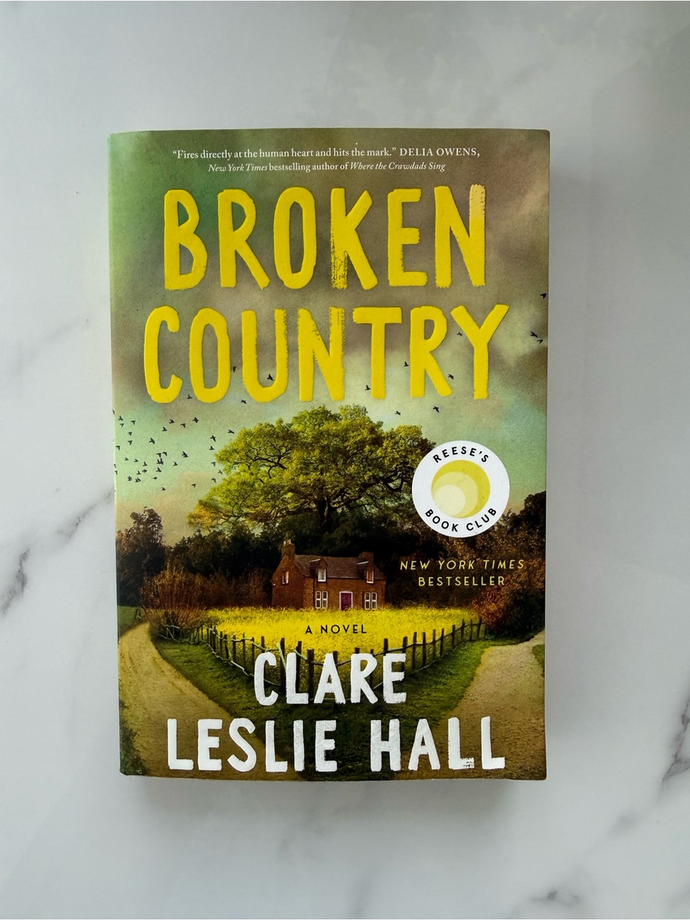 Broken Country by Clare Leslie Hall